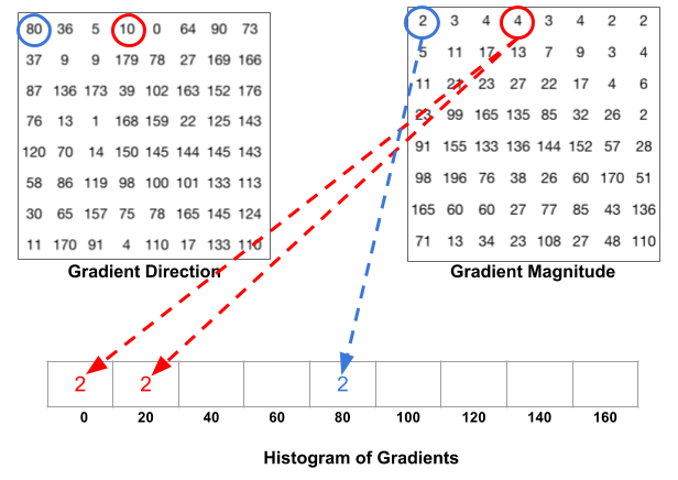 Create histogram of gradient